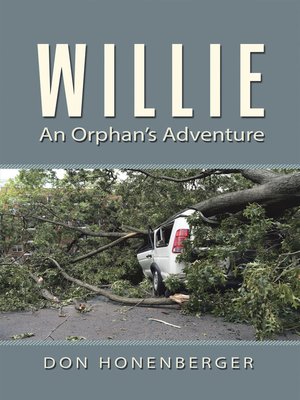 cover image of Willie